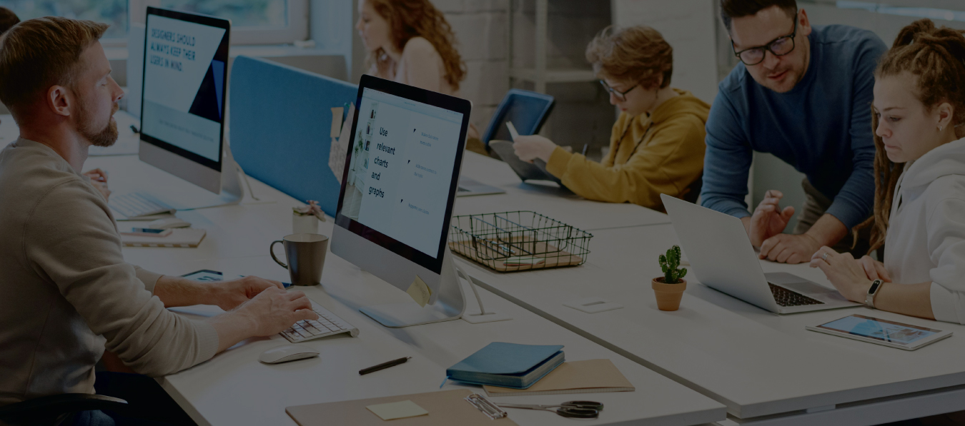 Bear Graphic Creative Studio Environment